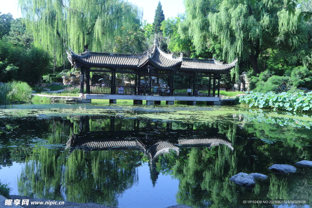 公园风景