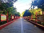 校园公园长廊