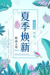 夏季上新