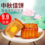 月饼电商装修