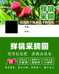 采摘名片