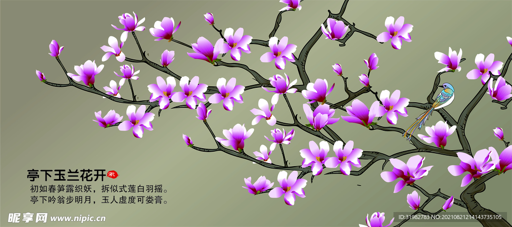 玉兰花