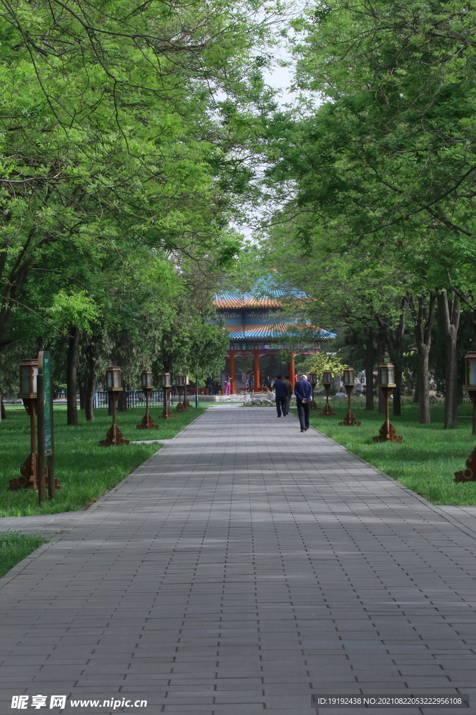 公园风景