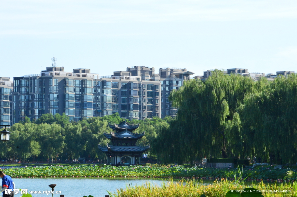 园林风景 