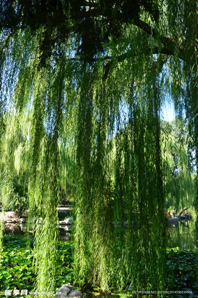 园林风景