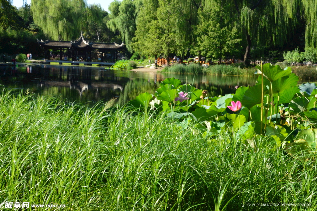 园林风景 