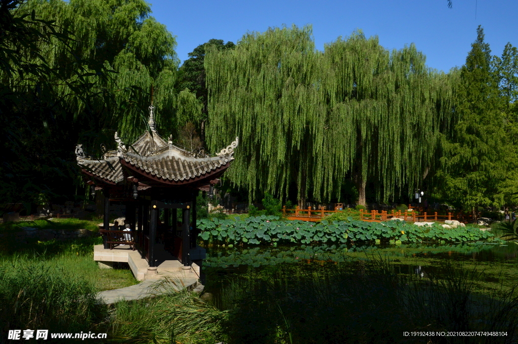 公园风景 