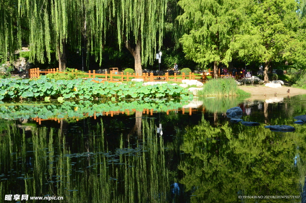 公园风景 