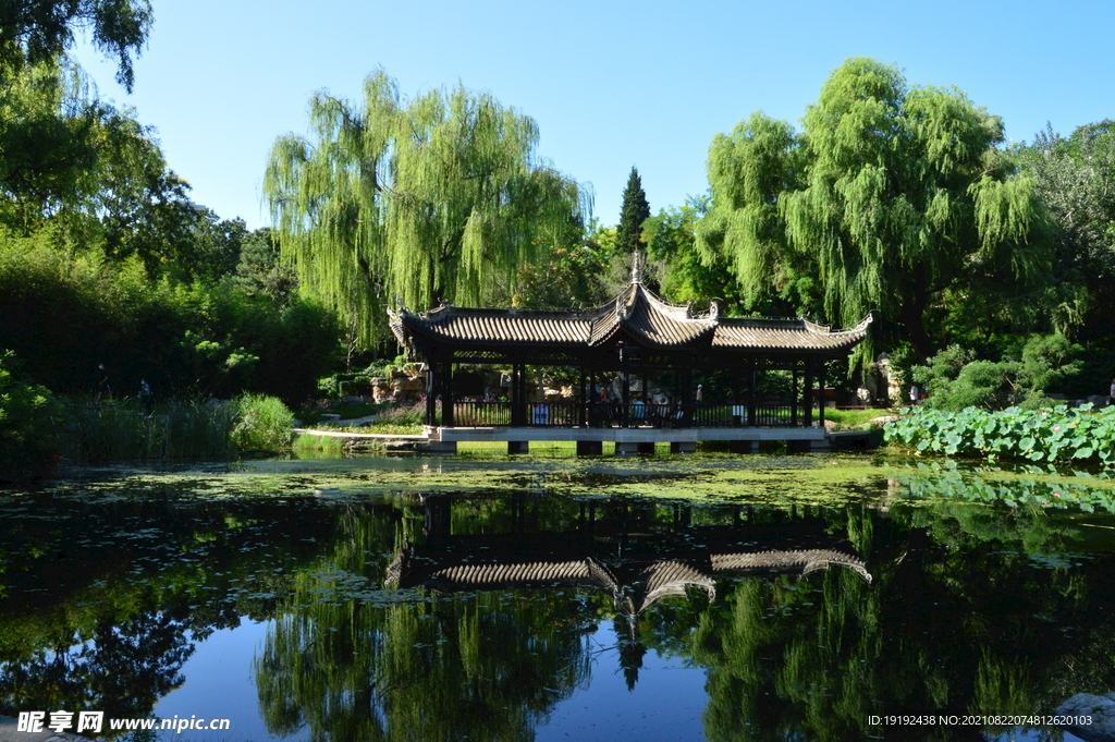 公园风景 