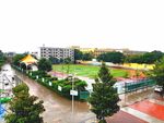 雨天的校园风景