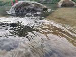 流水