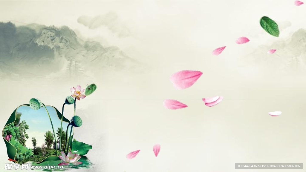 中国风荷花背景