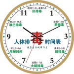 人体排毒时间表