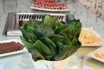 火锅食材 菠菜