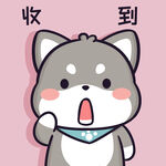 柴犬小黑           