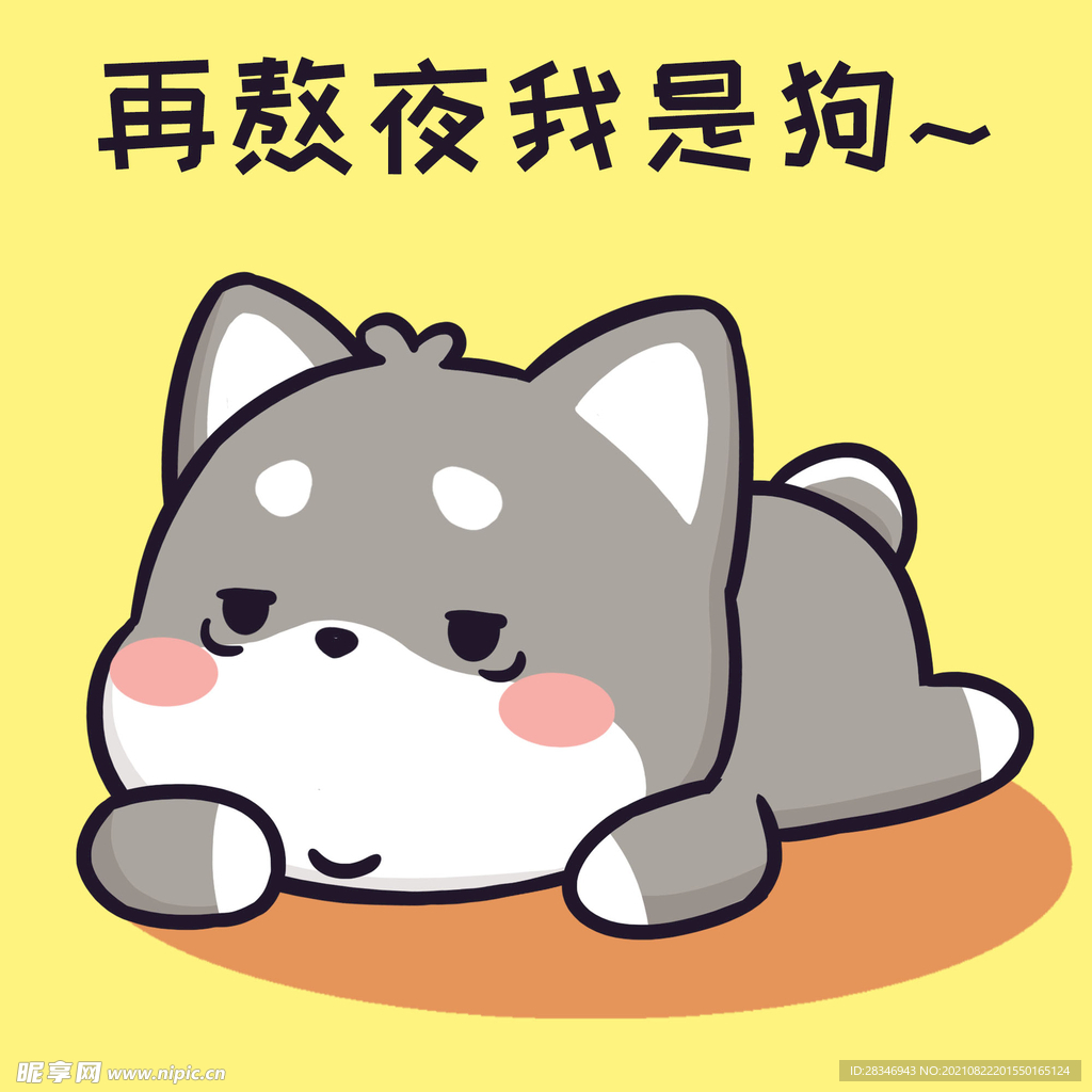 柴犬小黑           