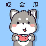 柴犬小黑           
