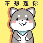 柴犬小黑           