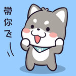 柴犬小黑           