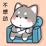 柴犬小黑           