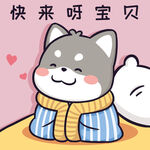 柴犬小黑           