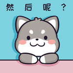 柴犬小黑           