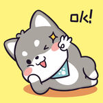 柴犬小黑           