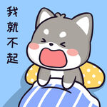柴犬小黑           