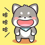 柴犬小黑           