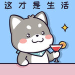 柴犬小黑           
