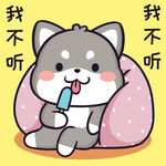 柴犬小黑           