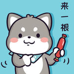 柴犬小黑           
