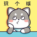 柴犬小黑           