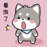 柴犬小黑           