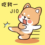 柴犬布丁           