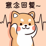 柴犬布丁           