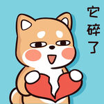 柴犬布丁           