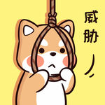 柴犬布丁           