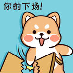 柴犬布丁           