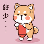 柴犬布丁           