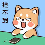 柴犬布丁           