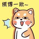柴犬布丁           