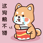 柴犬布丁           