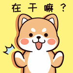 柴犬布丁           
