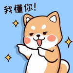 柴犬布丁           