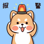 柴犬布丁           