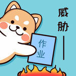 柴犬布丁           