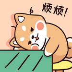 柴犬布丁           