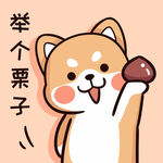柴犬布丁           
