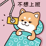 柴犬布丁           